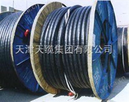 ZR-DJYPVP电缆直径---ZR-DJYPVP电缆重量价格