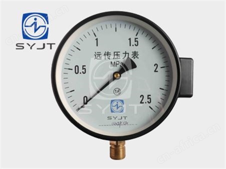 YTZ-150 电阻远传压力表