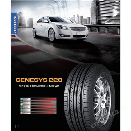 Passenger GENESYS228