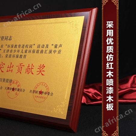 艺创奖牌合作伙伴木质牌匾企业颁奖铜牌40*30cm