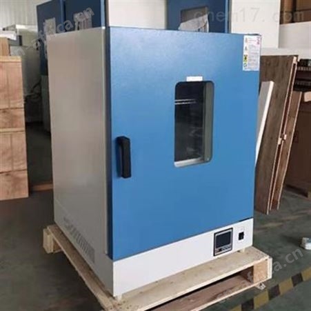 DGG系列立式大型恒温干燥箱RT+10℃～200℃