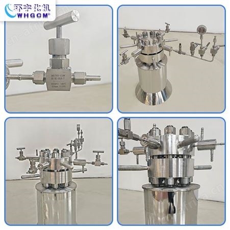 全自动高压实验室反应釜厂家