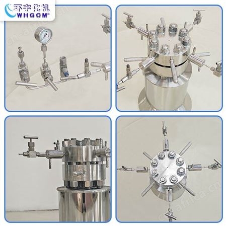 全自动高压实验室反应釜厂家