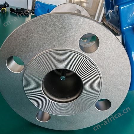 DSF10四氟转子流量计多少钱