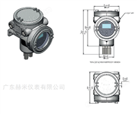 化工气体GE  XMTC 二元气体分析仪哪家好