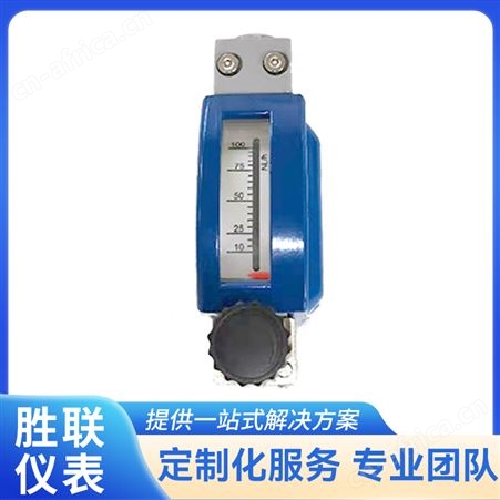 气液体金属管转子流量计