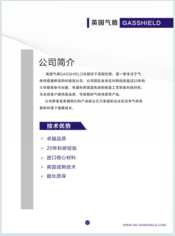 英国气盾简介概述 英国气盾简介概述