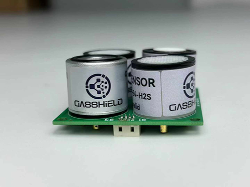 英国气盾氧气传感器 英国气盾氧气传感器