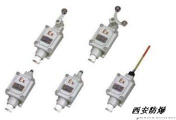 1740646811593174.jpg 8077-系列防爆行程开关2.jpg