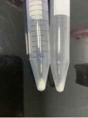 谷雨润万物，真空助实验：样品干燥不再难